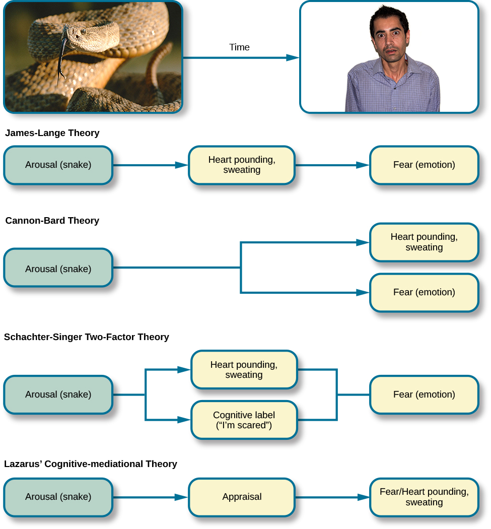 Diagram illustrating James-Lange, Cannon-Bard, Schachter-Singer, and Lazarus theories of emotion using the example of fear from a snake.
