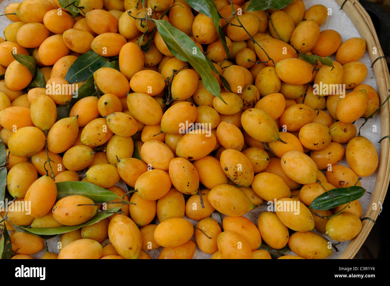 Bouea macrophylla fruits (marian plum or gandaria) freshly harvested in a basket with leaves attached.