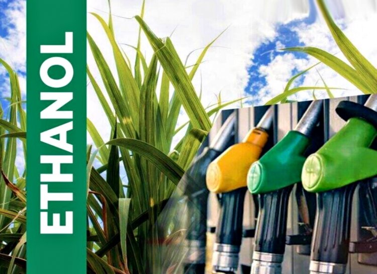 Ethanol derived from sugarcane is blended with petrol to create fuels like E20 petrol in India