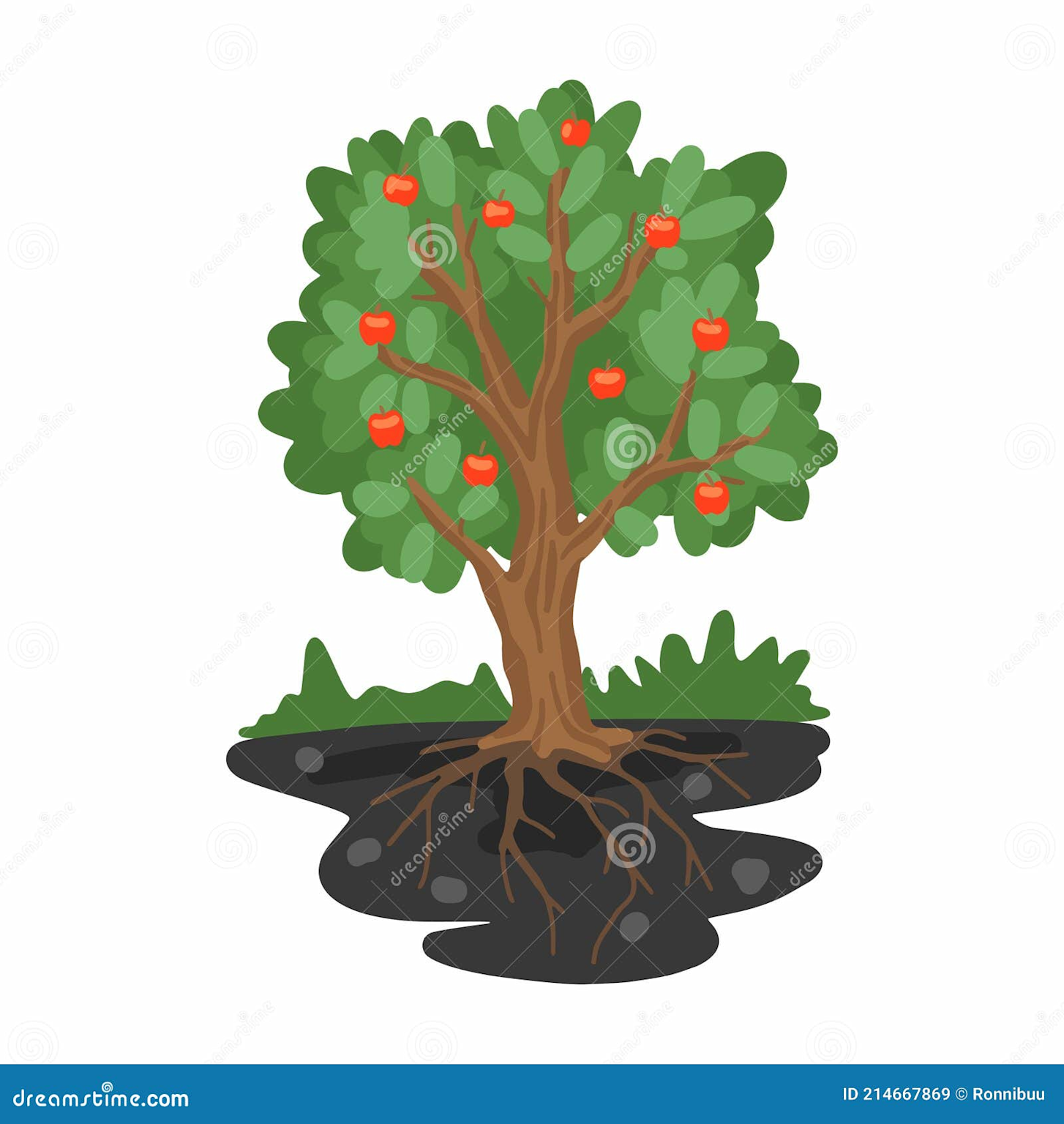 Illustration of an apple tree showing above-ground fruit and leaves, and the underground root system