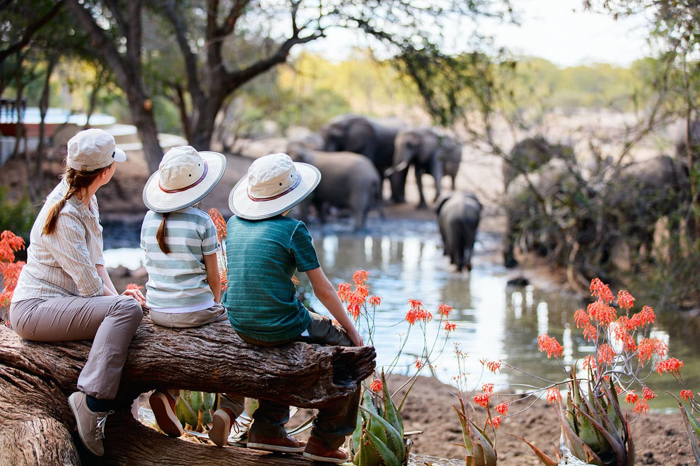 Family enjoying a serene wildlife safari watching elephants at a watering hole in Kenya's Maasai Mara