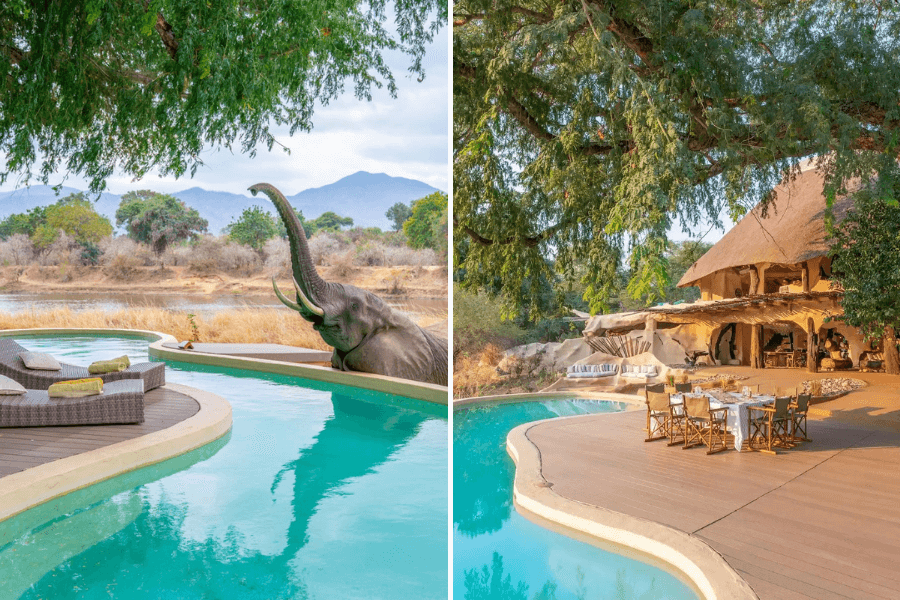 A family-friendly Kenyan safari lodge with a luxurious pool where elephants interact, and an inviting outdoor dining area set under lush trees, perfect for a relaxing and adventurous stay