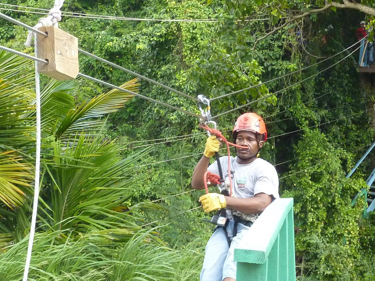 Zip lining adventure in the lush rainforests of Antigua, showcasing thrilling outdoor activities in the Caribbean
