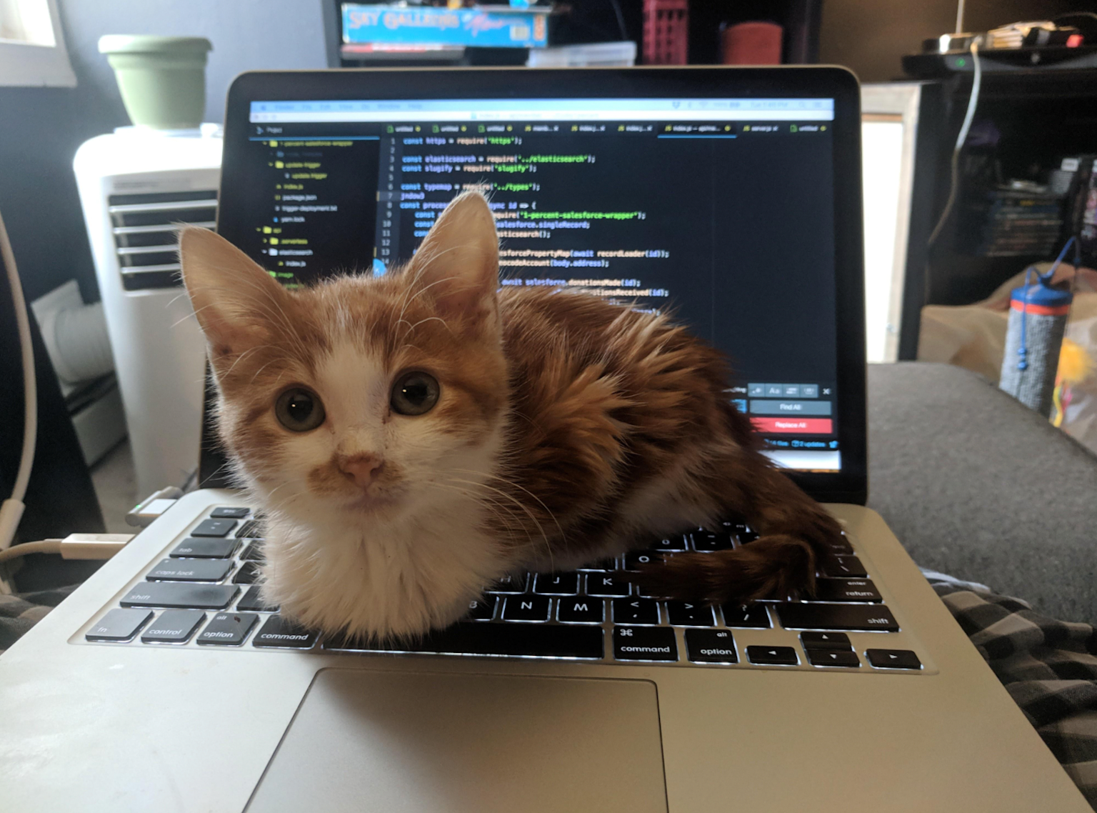 Мурзик Скриптович