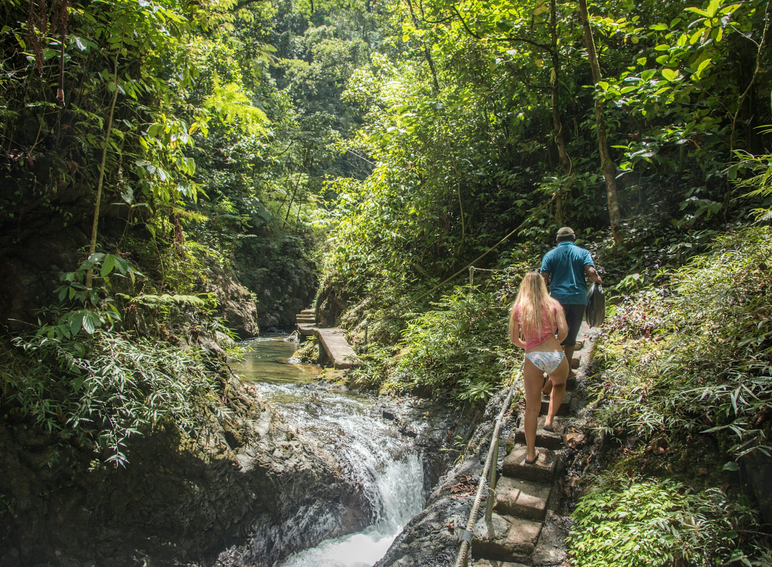 Hikers exploring a tropical rainforest trail alongside a waterfall and stream in Fiji