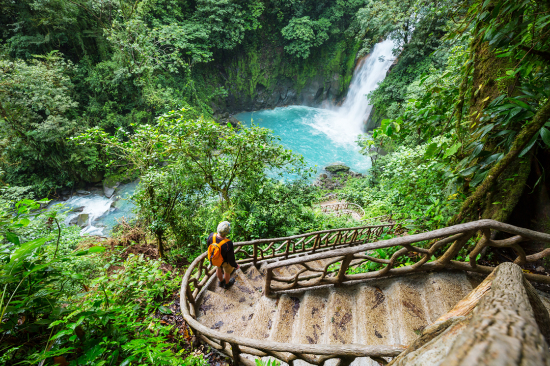 A hiker descends a scenic wooden staircase toward a vibrant blue waterfall in a tropical rainforest