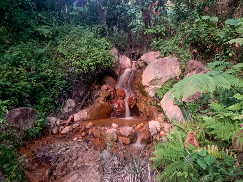 Natural hot spring pool surrounded by lush greenery and rocks in a misty forest environment