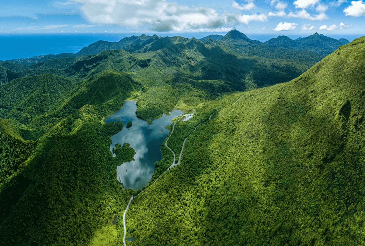 Aerial view of Dominica's rainforest canopy, mountains, and winding trail showcasing the island's natural beauty and hiking opportunities