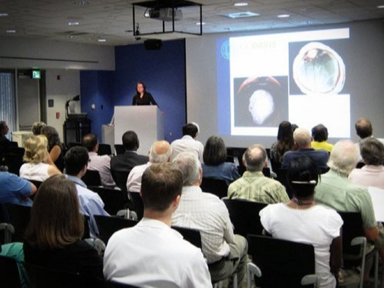 Medical presentation in a conference hall showing a speaker addressing an attentive audience with medical images displayed on a large screen