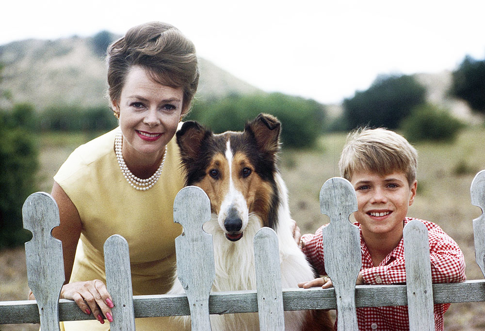 June Lockhart and Jon Provost with Lassie in a scene from the TV show 'Lassie'