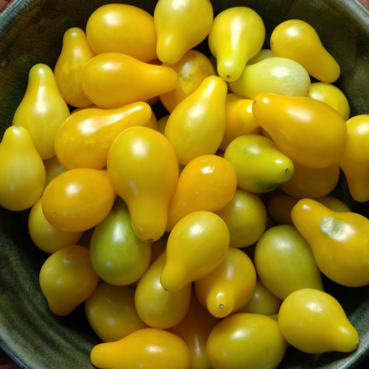 Yellow pear tomatoes displayed in a bowl, showcasing their unique teardrop shape and vibrant color