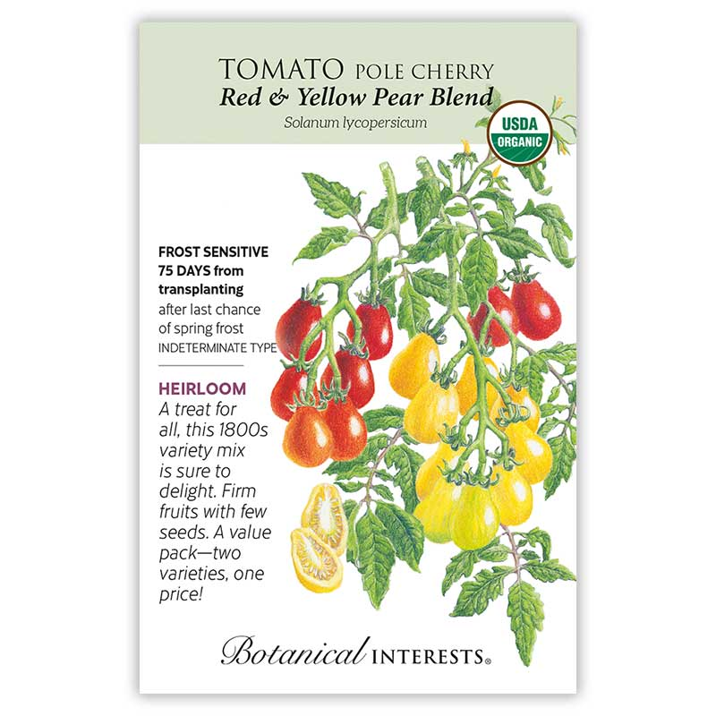 Seed packet illustration of red and yellow pear-shaped cherry tomatoes showing their distinctive drop-like shape and colors