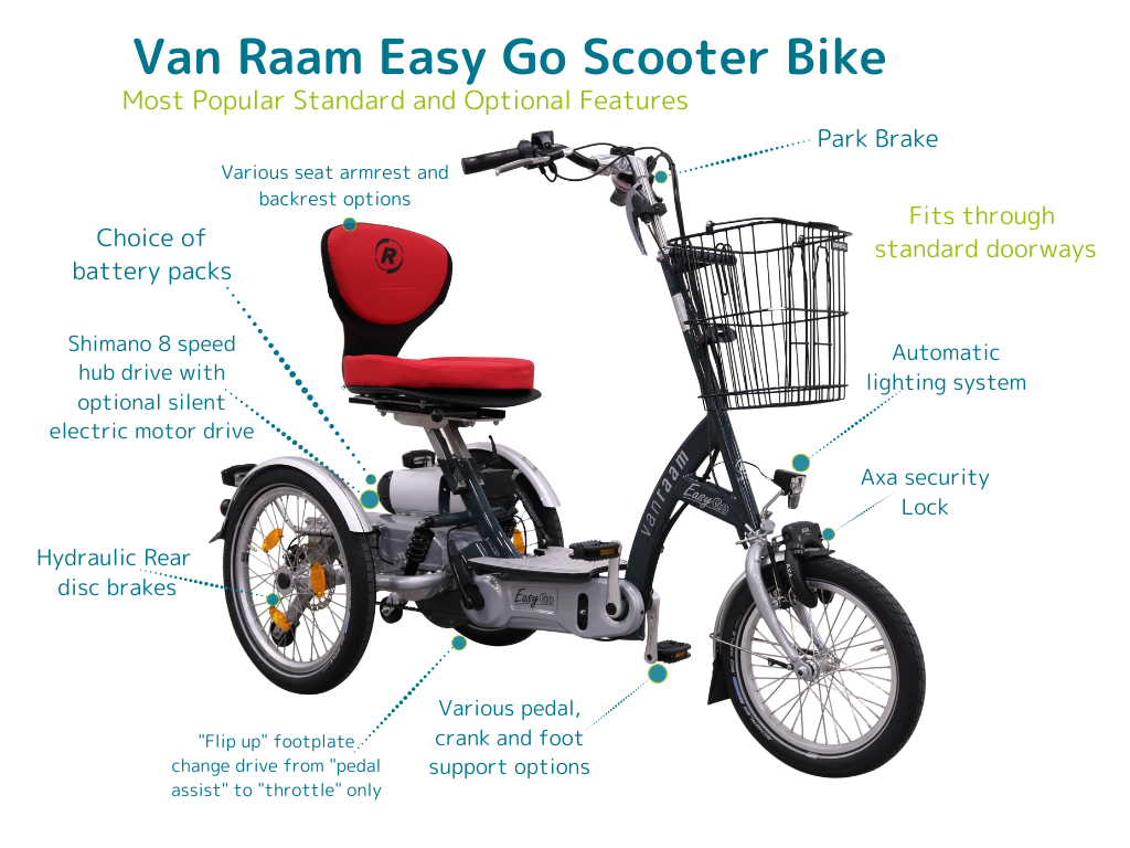 E-bike with mobility features