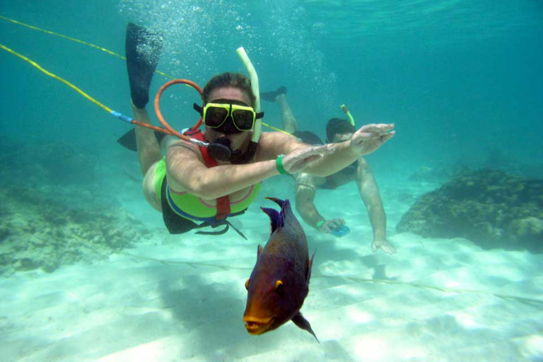 Two snorkelers exploring clear tropical waters, perfect for luxury resort water activities