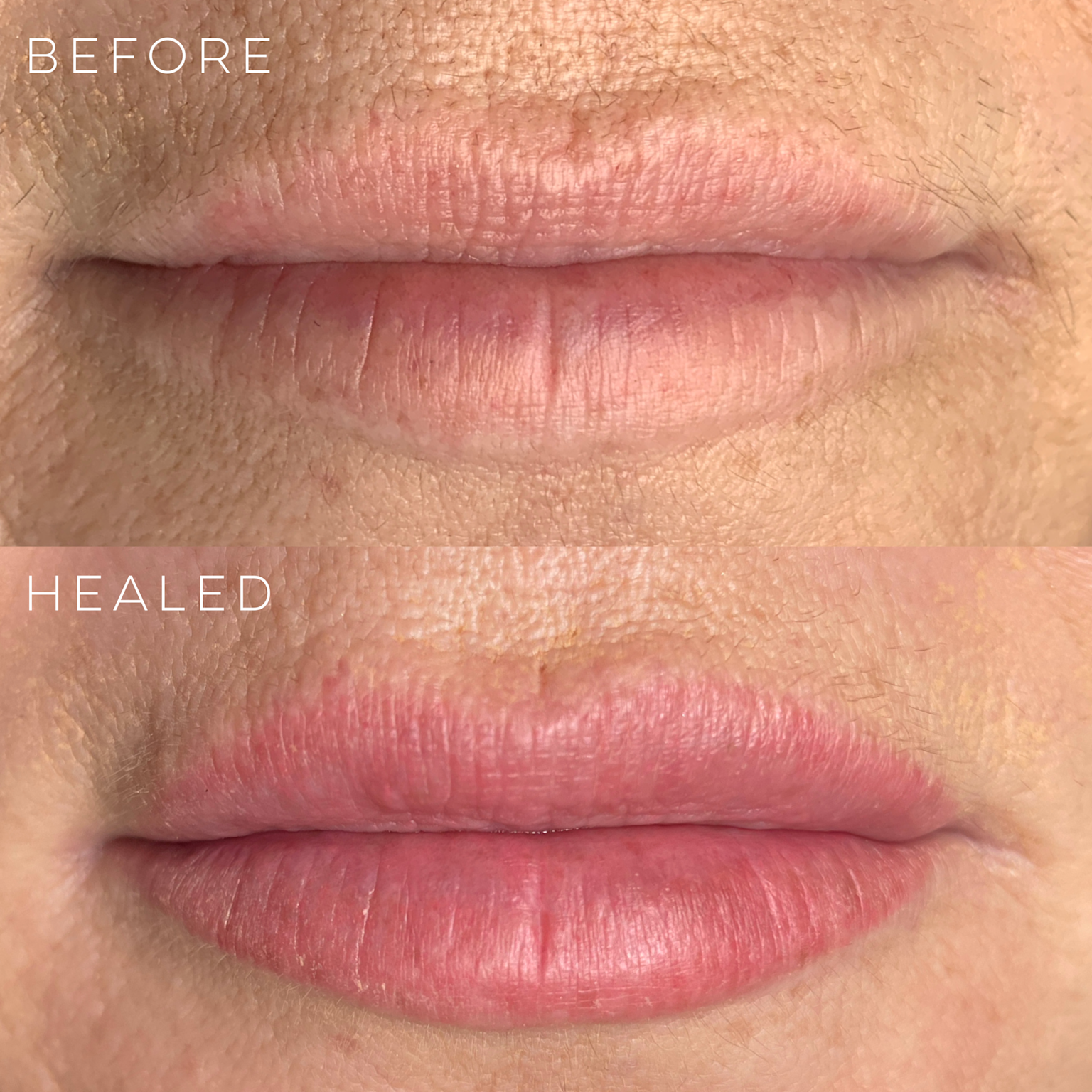 Lip blush tattoo healing progression showing before and healed results