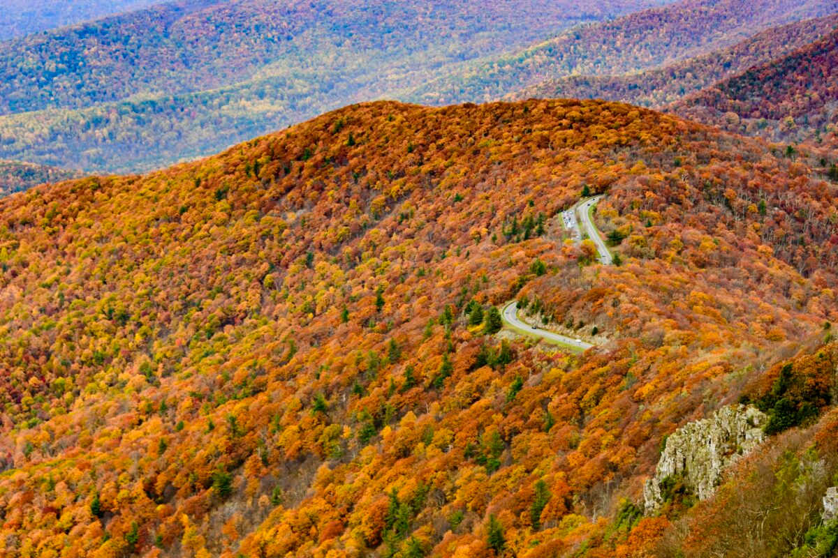 Blue Ridge Parkway fall foliage