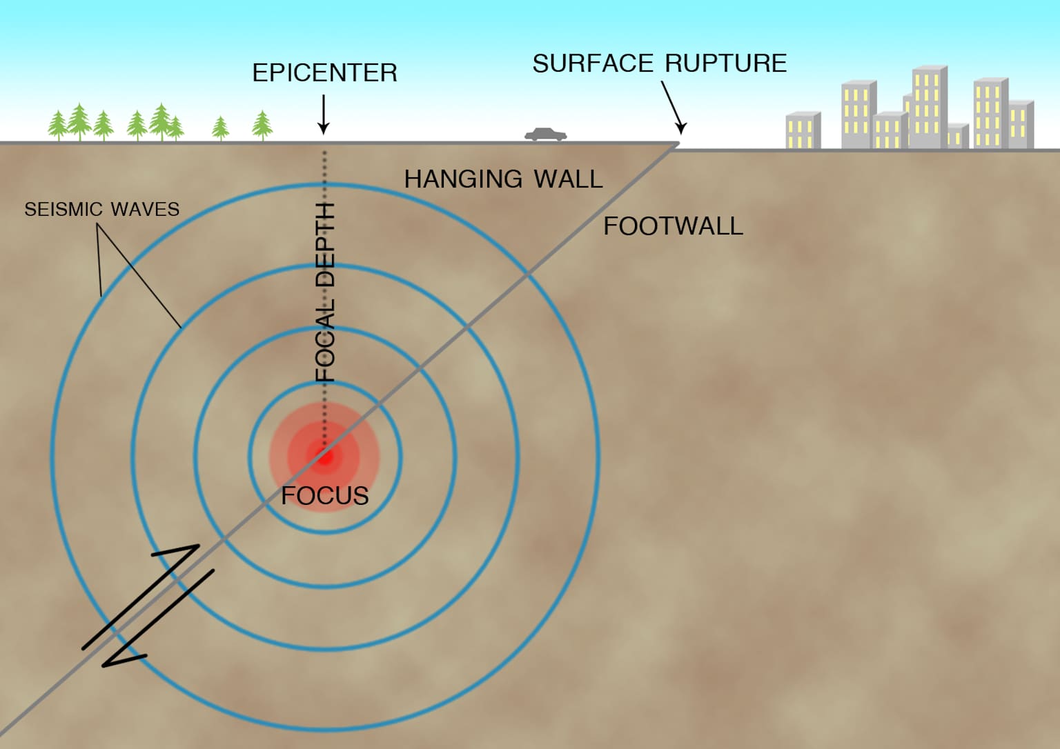 Seismic Waves Visualization