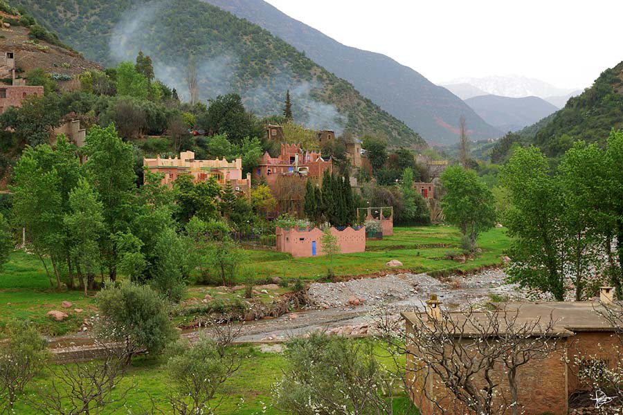 Morocco Ourika Valley mountains and wildflowers