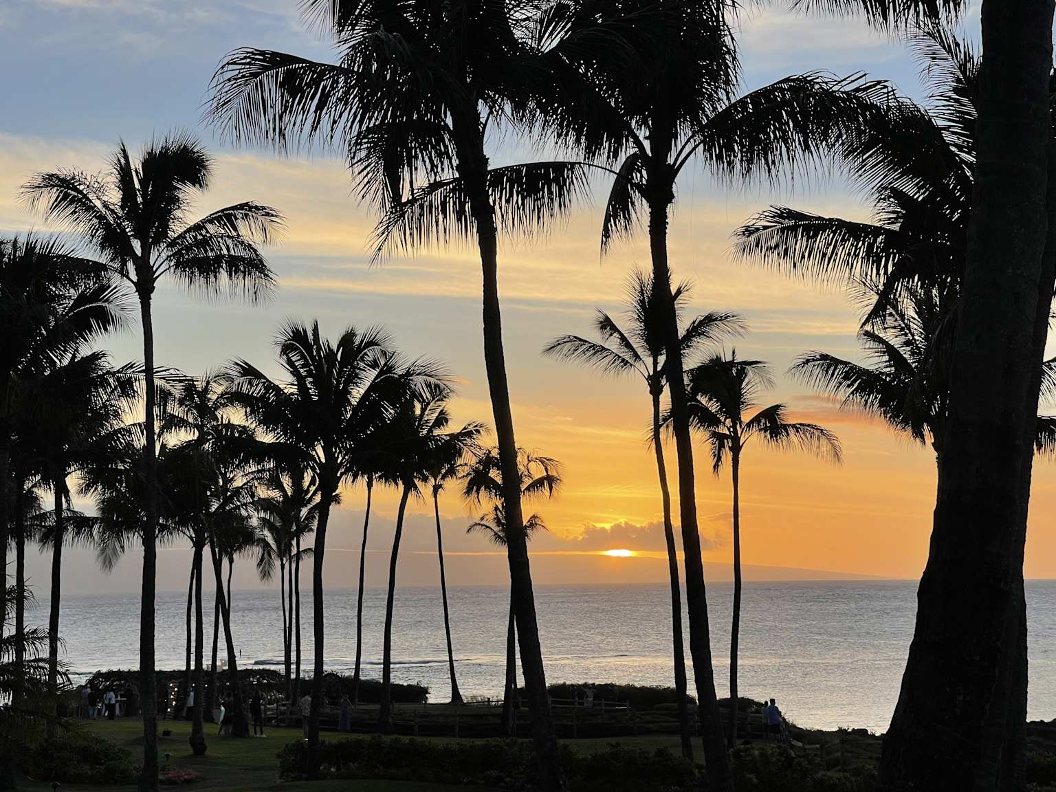 Maui Hawaii beach with palm trees