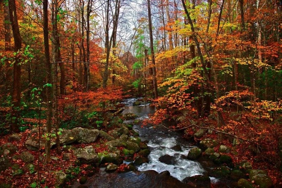 Great Smoky Mountains autumn fall colors