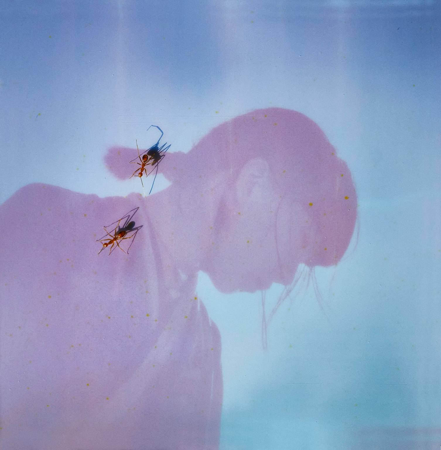 Ichiko Aoba announces new album 'Luminescent Creatures