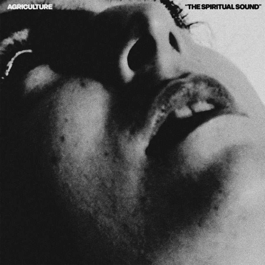 Agriculture - The Spiritual Sound | Rough Trade - (LP