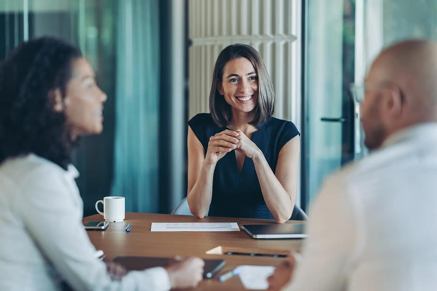 Travel Advisor Registry