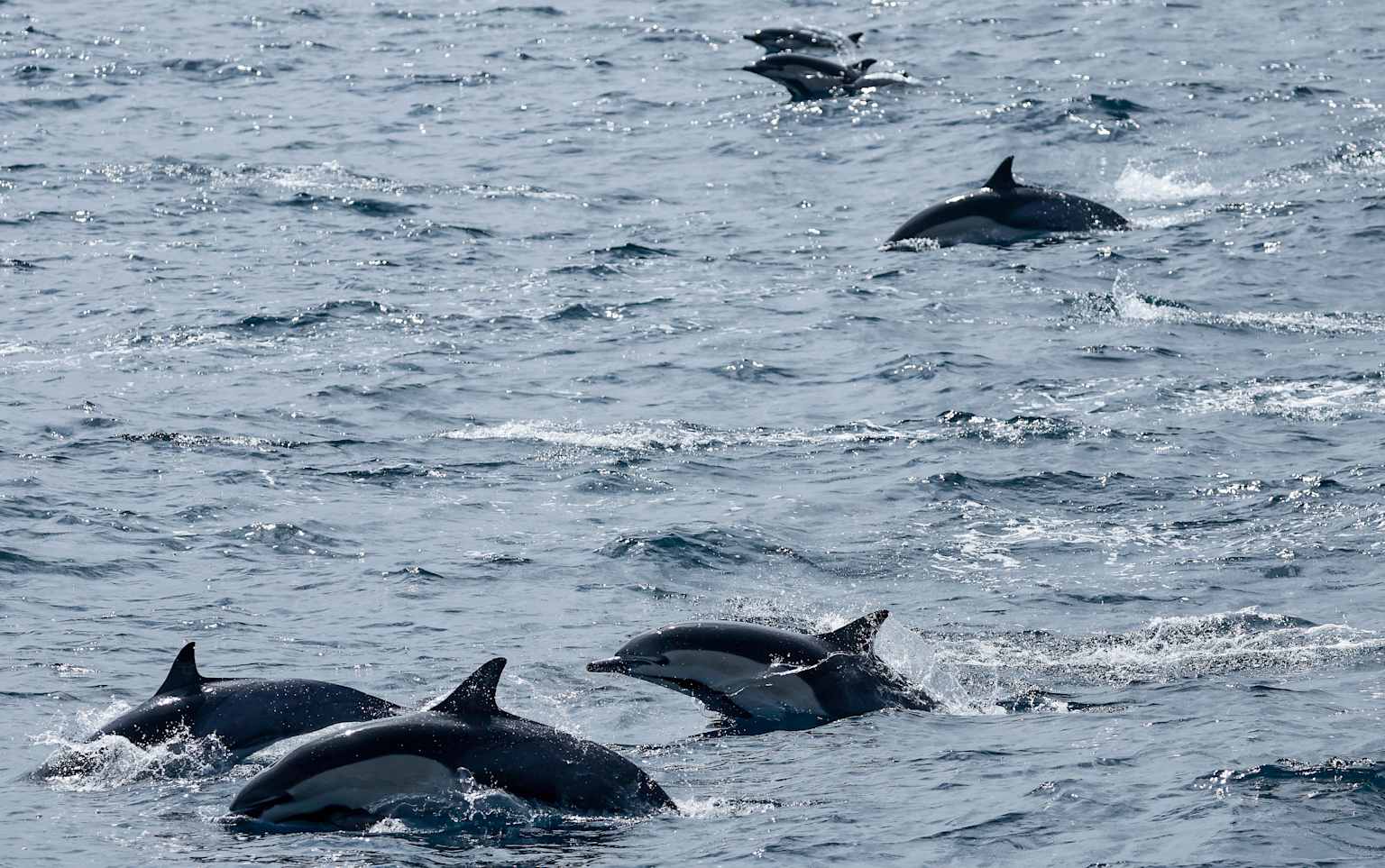 La NOAA amplía su escala mientras el Súper El Niño se acerca a una intensidad récord